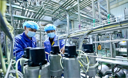 用新質(zhì)生產(chǎn)力破解乳業(yè)困局 甘肅前進(jìn)集團(tuán)傳祁甘味乳業(yè)新型乳制品走俏市場(chǎng)