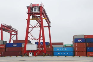 山東到海口國內(nèi)集裝箱海運(yùn)專線運(yùn)輸公司