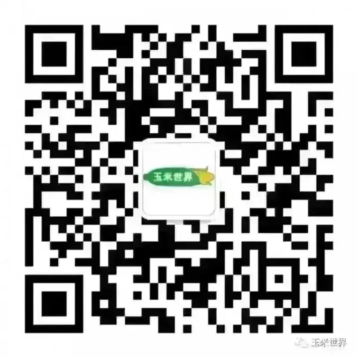 南北港口玉米價(jià)格暫穩(wěn),短期港存供給支撐價(jià)格