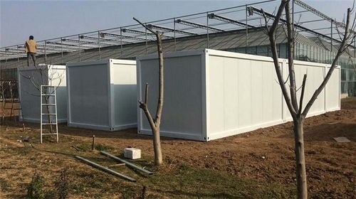 拼裝箱框架批發與租賃指南 邢臺、文安地區的優選方案