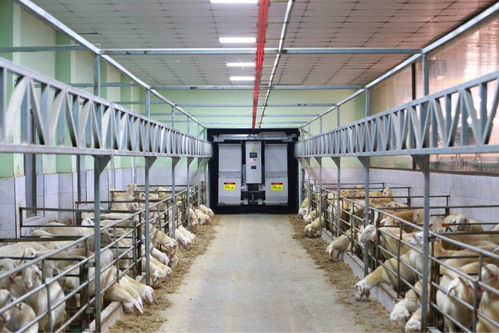 農(nóng)業(yè)“雙強”行動結(jié)碩果，浙江農(nóng)業(yè)生產(chǎn)更高效，集裝箱租賃助力產(chǎn)業(yè)升級